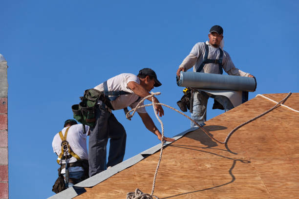 Best Roofing Contractor Near Me  in West Frankfort, IL