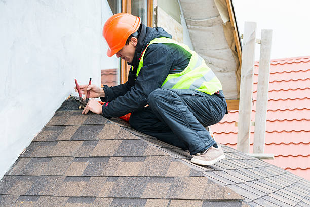 Best Roof Gutter Cleaning  in West Frankfort, IL